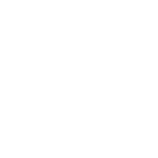 Github Logo